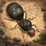The Ants Underground Kingdom Unlimited Money Mod Apk 3.61.0