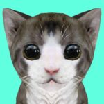 Cat Simulator Online Unlimited Money Mod Apk 37