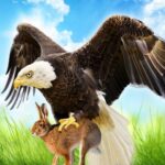 The Eagle Unlimited Money Mod Apk 1.1.7