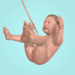 Idle 9 Months Unlimited Money Mod Apk 1.40.0